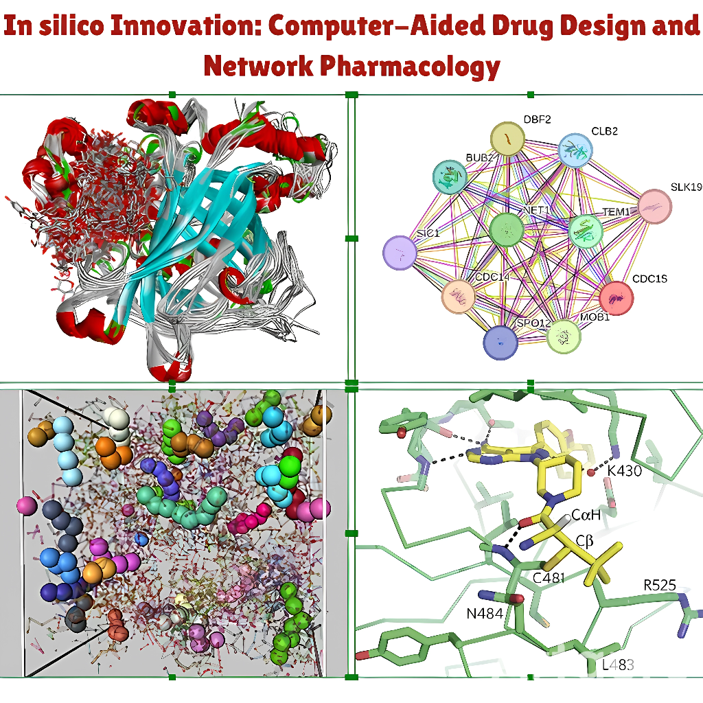 In Silico Innovation: Computer-Aided Drug Design and Network Pharmacology